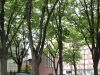 img0051.jpg