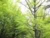 img0133.jpg