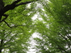 img0134.jpg