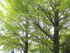 img0135.jpg