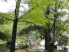 img0139.jpg