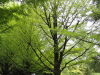 img0140.jpg