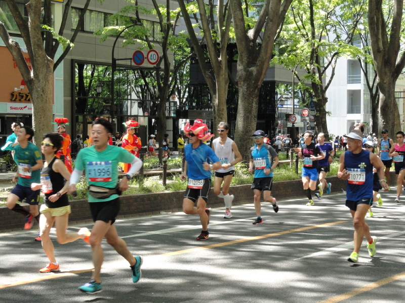 img0029.jpg