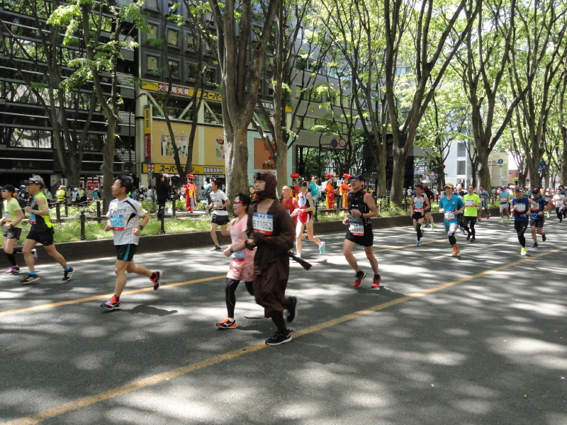 img0031.jpg
