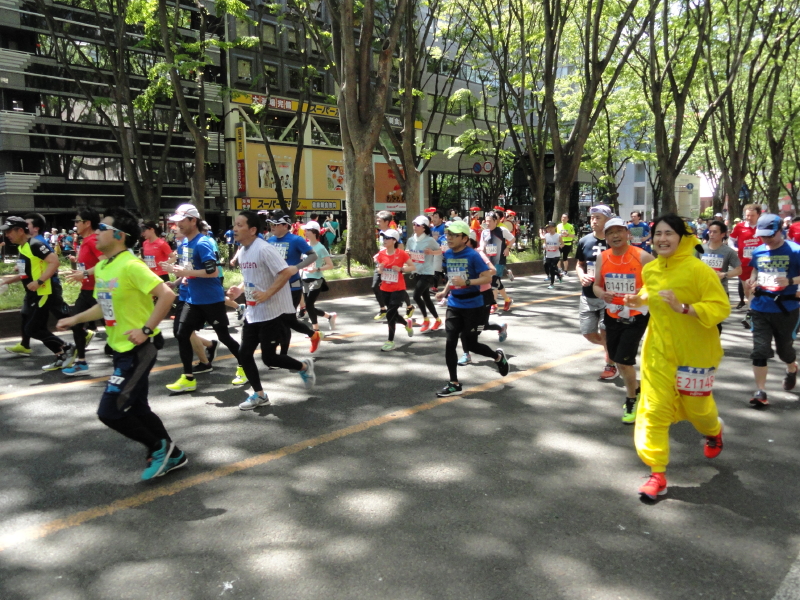 img0042.jpg