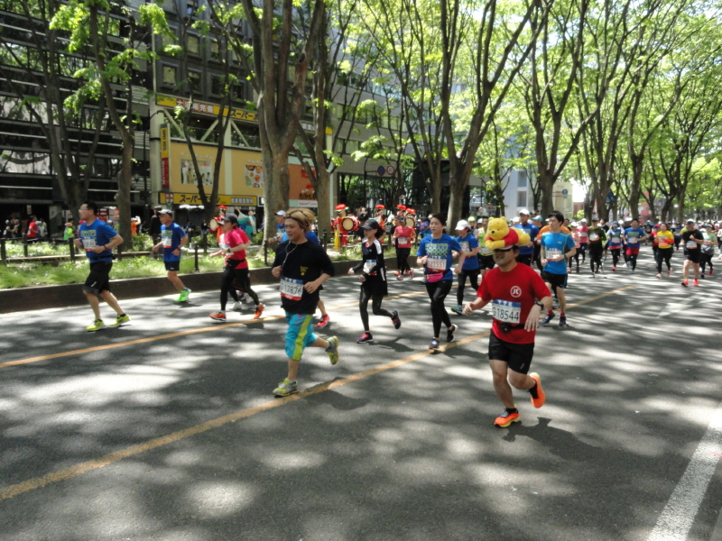 img0051.jpg
