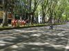 img0001.jpg