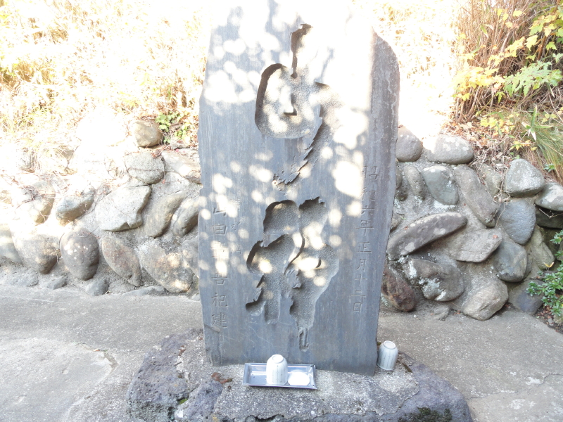 img0009.jpg