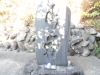 img0009.jpg