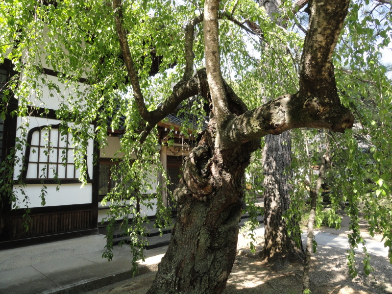 img0008.jpg