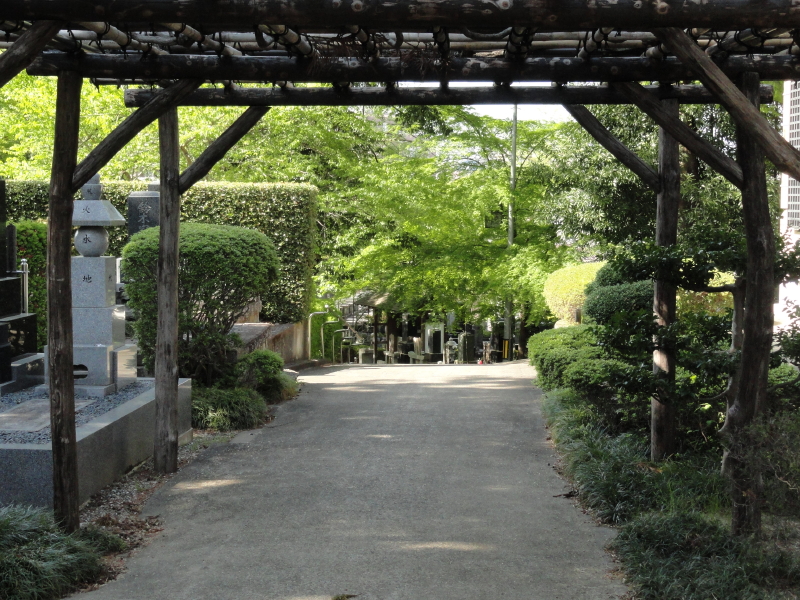 img0012.jpg