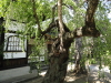 img0008.jpg