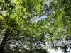 img0016.jpg
