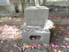 img0023.jpg