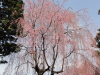 img0006.jpg