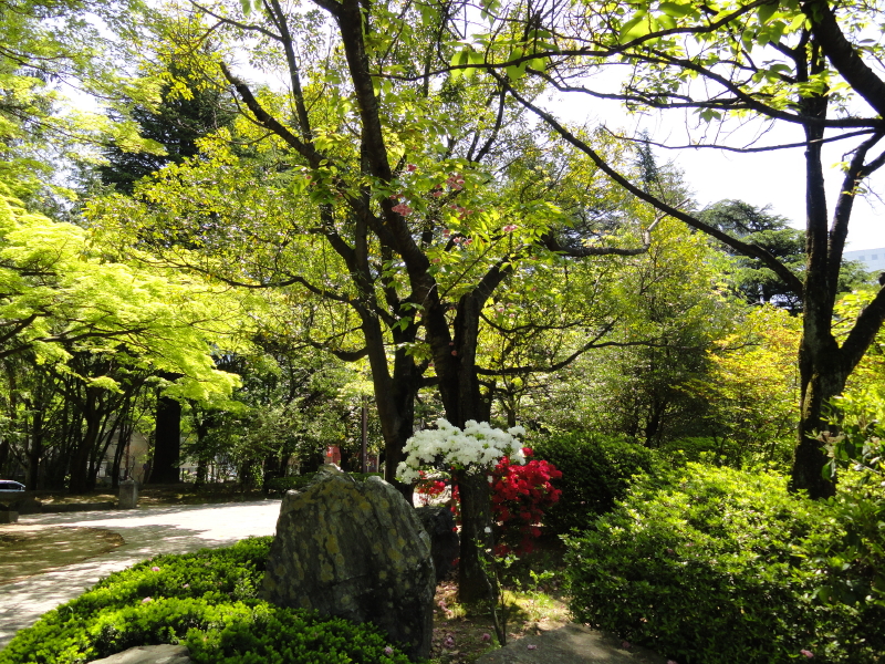 img0003.jpg