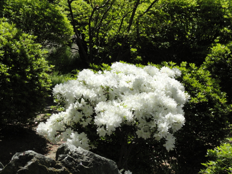 img0026.jpg