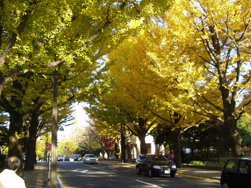 img0040.jpg