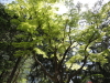img0007.jpg