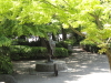 img0031.jpg