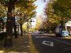 img0037.jpg