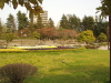 img0038.jpg