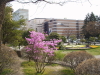 img0039.jpg