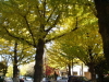 img0041.jpg