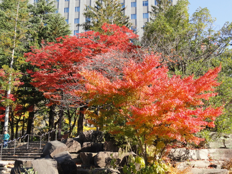 img0002.jpg