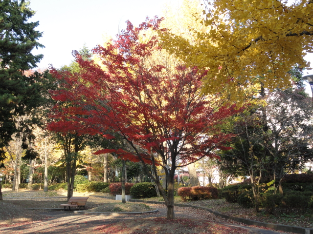 img0003.jpg