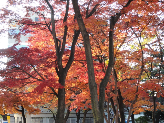 img0018.jpg