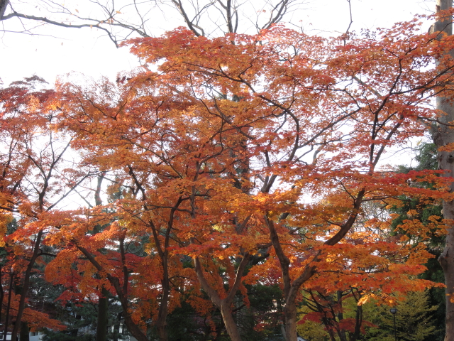 img0019.jpg