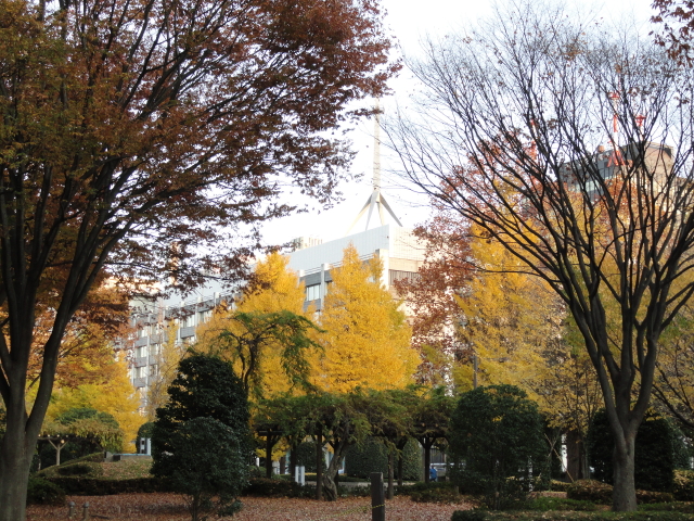 img0021.jpg