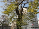 img0000.jpg