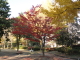 img0003.jpg