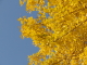 img0012.jpg
