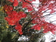 img0029.jpg