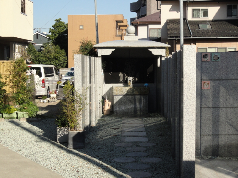 img0008.jpg
