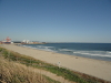 img0003.jpg