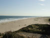 img0007.jpg