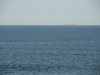 img0009.jpg