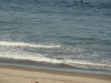 img0011.jpg