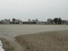 img0008.jpg