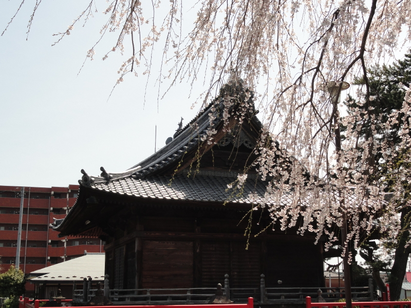 img0013.jpg
