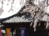 img0014.jpg