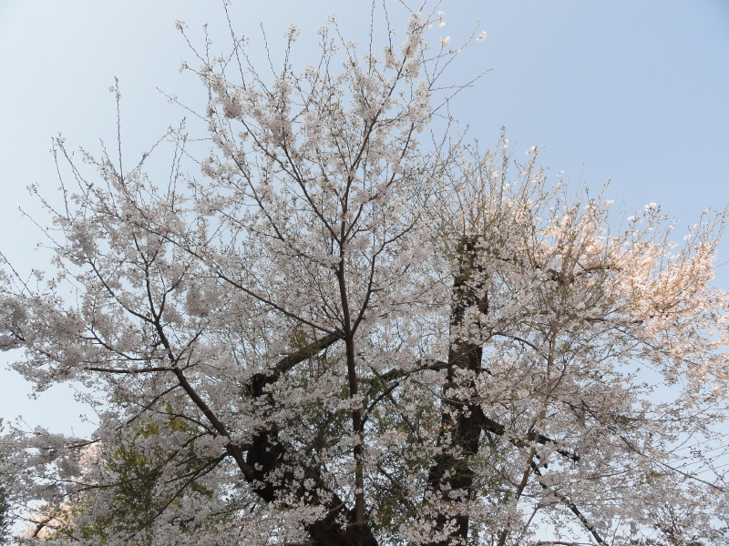 img0013.jpg