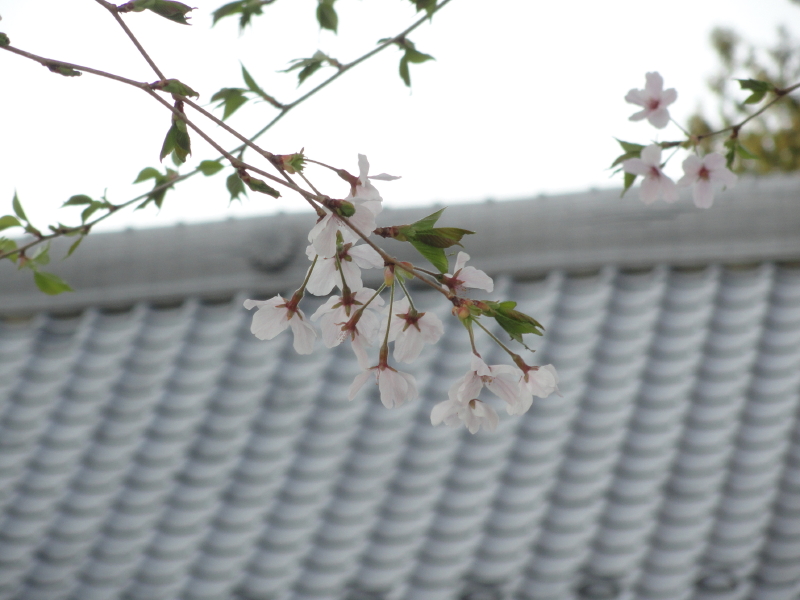 img0016.jpg