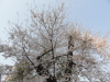 img0013.jpg