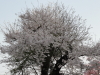 img0024.jpg