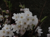 img0028.jpg